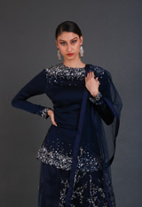 Navy Blue Scintillating Sharara Setuntitled (3 of 10)